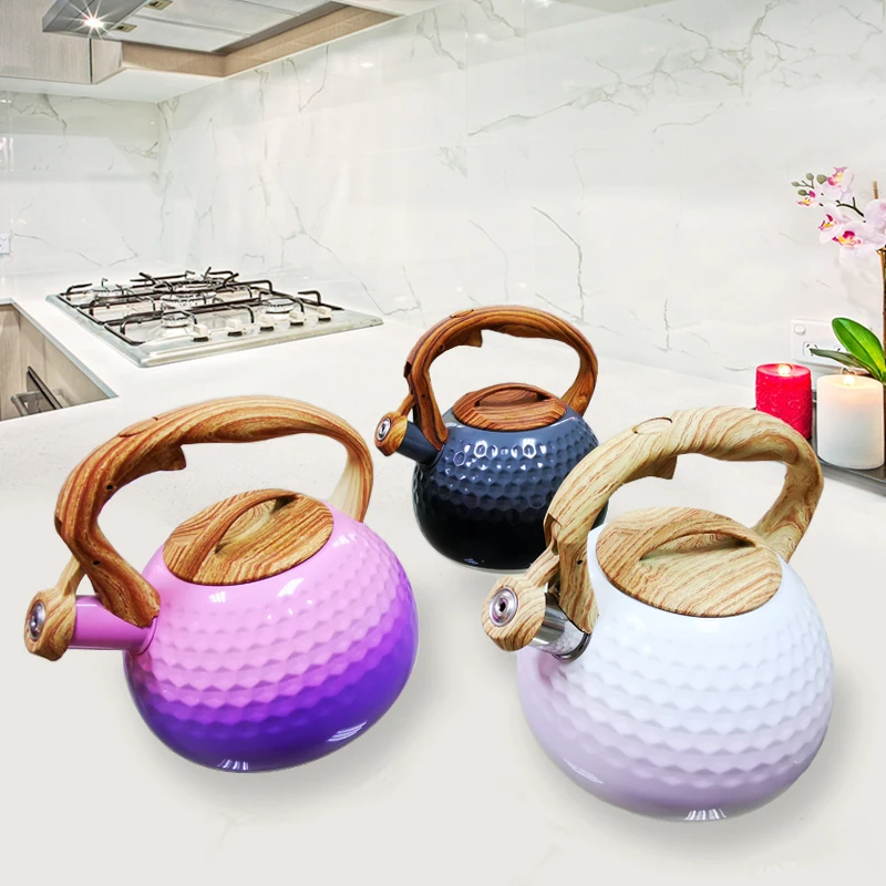 Factory Direct Sale Color Stainless Steel Whistling Kettle Portable Hot Water Kettle