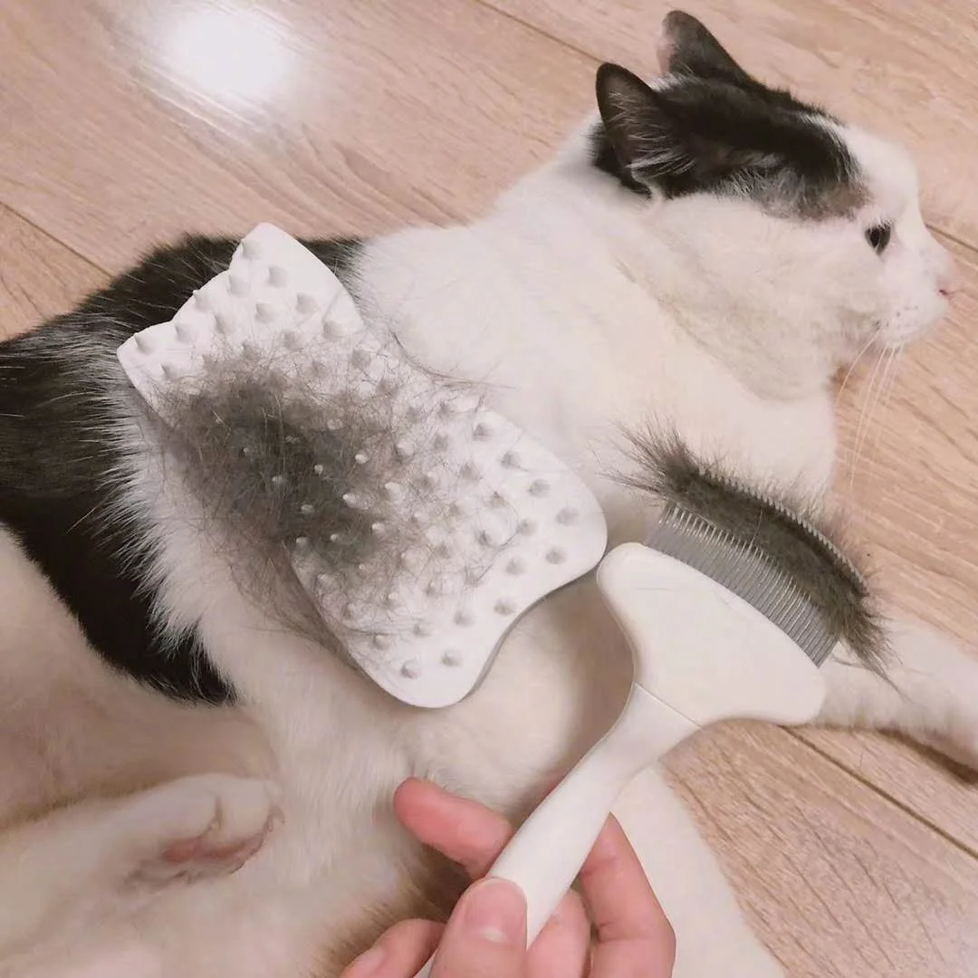 Baoli OEM Outils De Toilettage Animal 123x70x35MM 39g Dog Grooming Wet And Dry Toysdone 2 In 1 Pet Bath Massage Cat Pet Brush