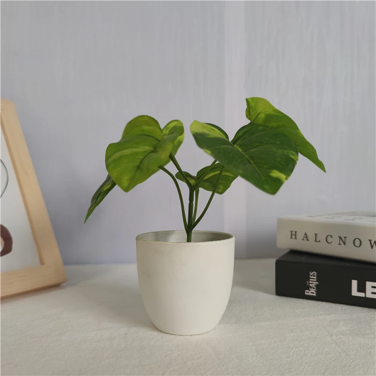 Assorted Decorative Faux Small plastic bonsai Mini Artificial Assorted Potted Succulents Plants