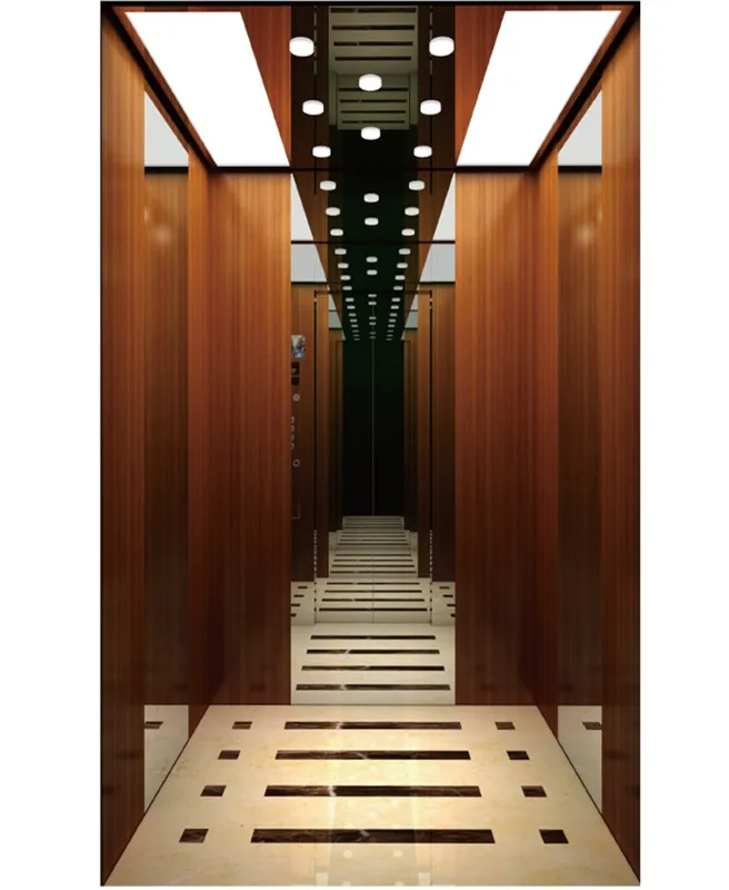 China Machine Room Elevator Villa Passenger Elevator