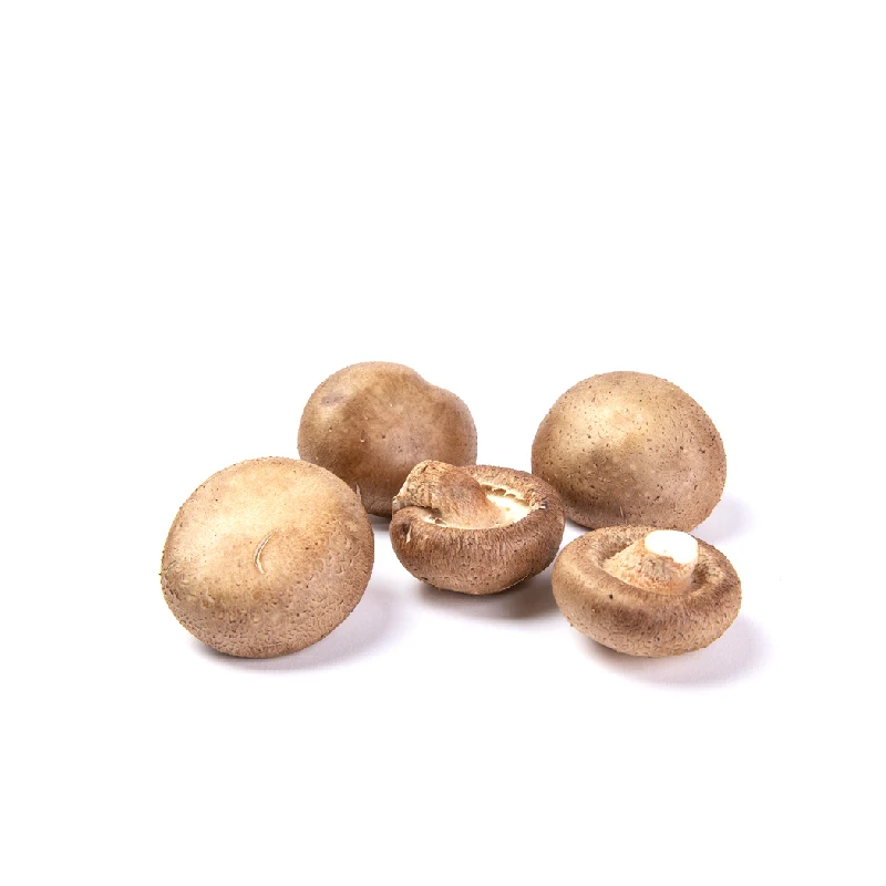 
New variety mushroom farm exports a large number of fresh mushrooms 