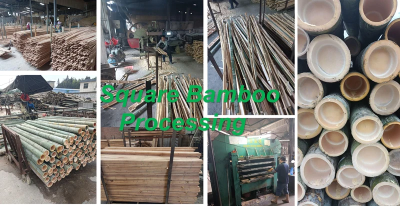 Bamboo Processing 1