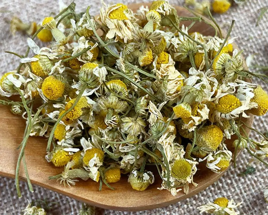 2022 new crop Fresh dried Premium Chamomile flowers tea In loose wholesale price