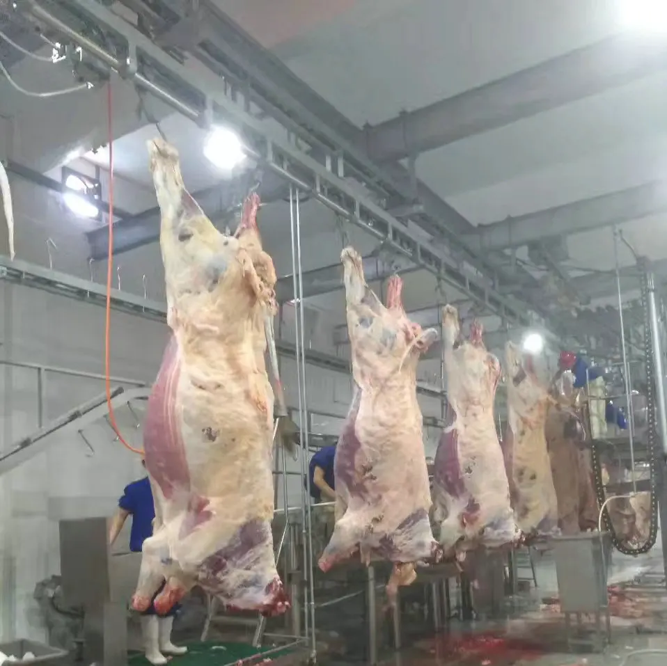 Small production beef slaughtering equipment