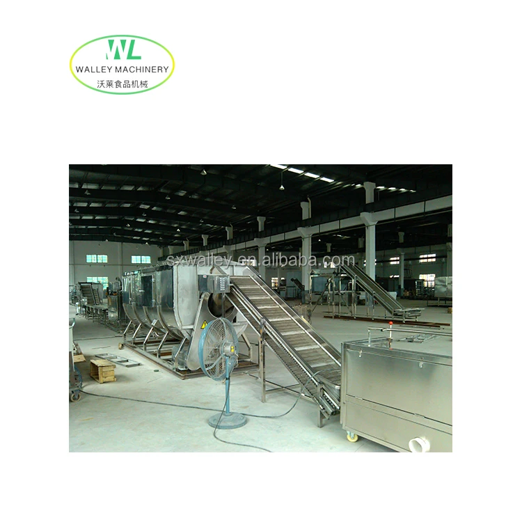Customizing fruit and vegetable quick frozen fried processing line for Fresh fries/potato