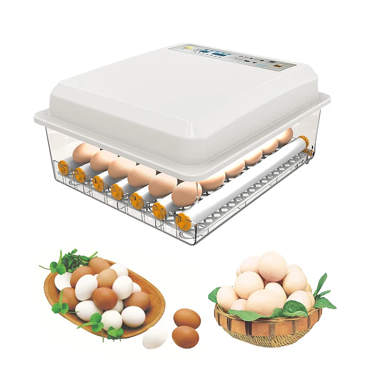  Hot sale high hatching rate 24/30/36/42 egg capacity automatic birds machine incubator mini