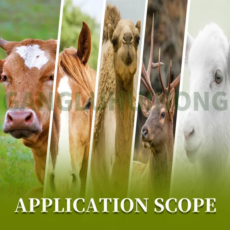 Cattle Premix Livestock Feed Additives Intestinal health for cattle and sheep