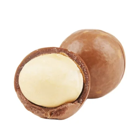 
Premium Delicious Full Fruit Macadamia Nuts 