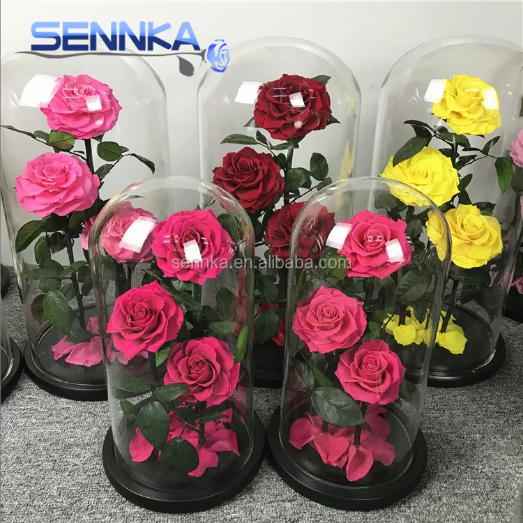 Wholesale preserved flower in glass handmade natural eternal for happy new year gift