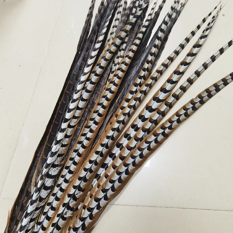 Stocked natural color long Amherst reeves pheasant tail feather For Mexico and Brazil Samba dance dress