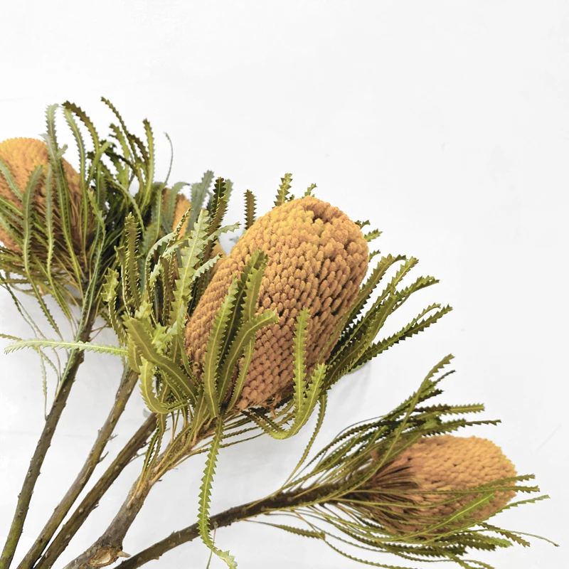 Цветочные конусы Banksia цветные Высококачественные Натуральные сушеные цветы для
