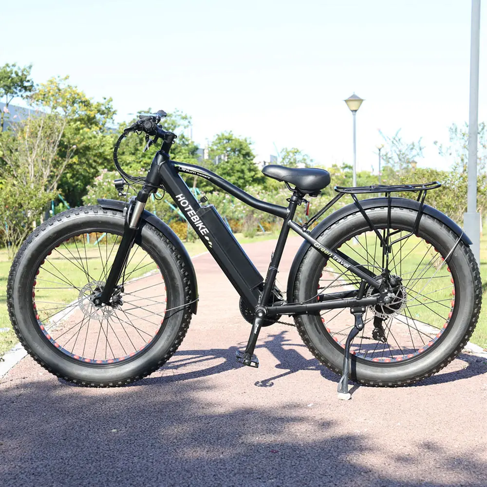 power electric bike  6061 Aluminum alloy 7/9/27 speed electric bike bicycle cheap e cargo super bike ebike