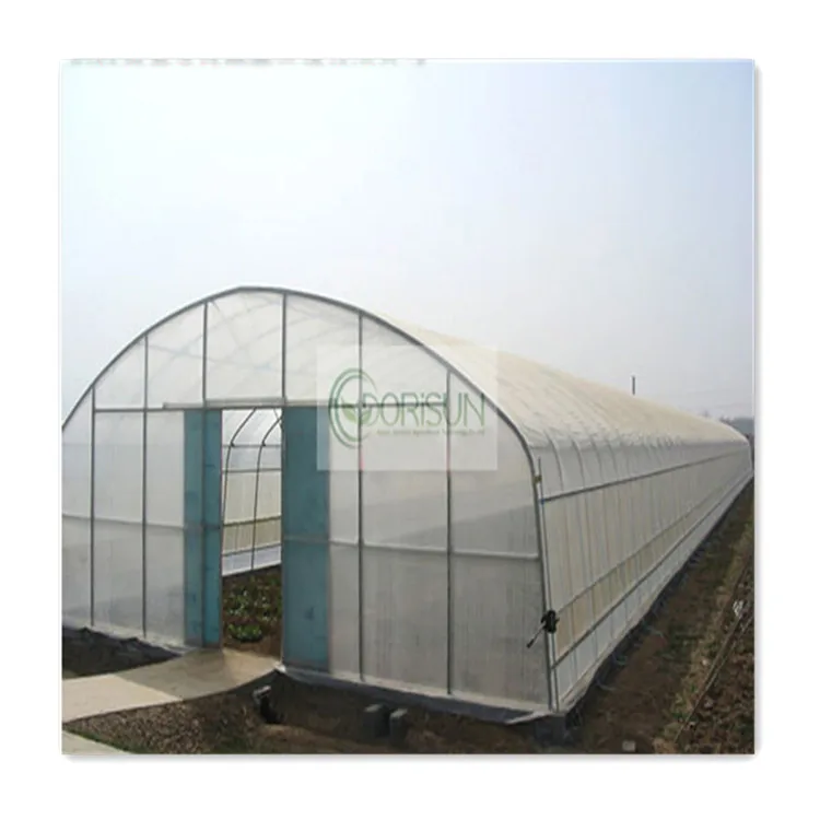 Co2 Controller Erogator Hydroponics System Indoor Drop Irrigation Greenhouse for Meaty Plant