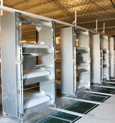 High Quality Automatic Manure Conveyor Belt Made of PP Material for Layer Cage Poultry Farm Chicken Raising