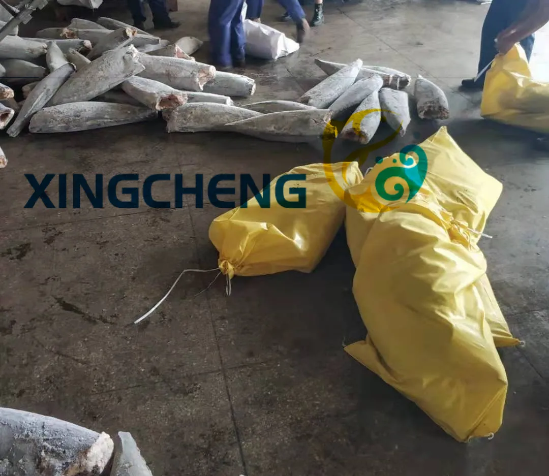 
Seafrozen oil fish HGT(Lepidocybium flavobrunneum) 