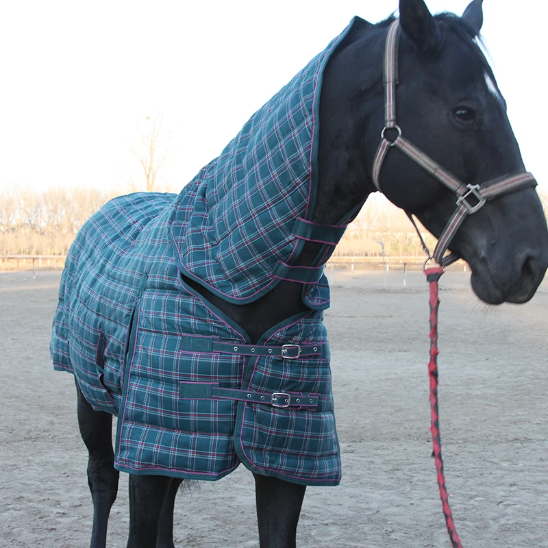 Breathable Stable Polyester Horse Blanket Combo horse rugs