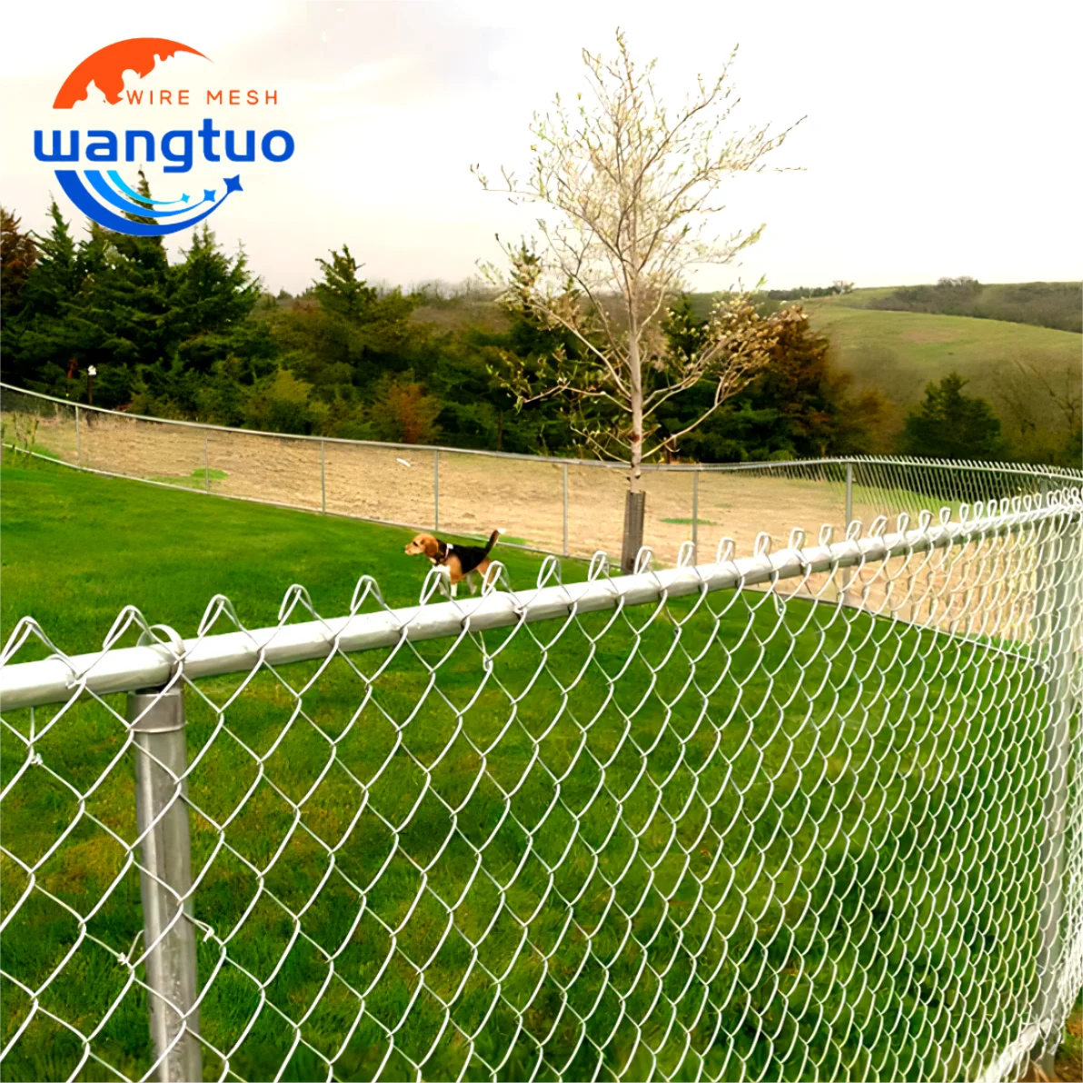 Ограждение из металлической проволочной сетки Оцинкованное черное покрытие ПВХ рулон с воротами