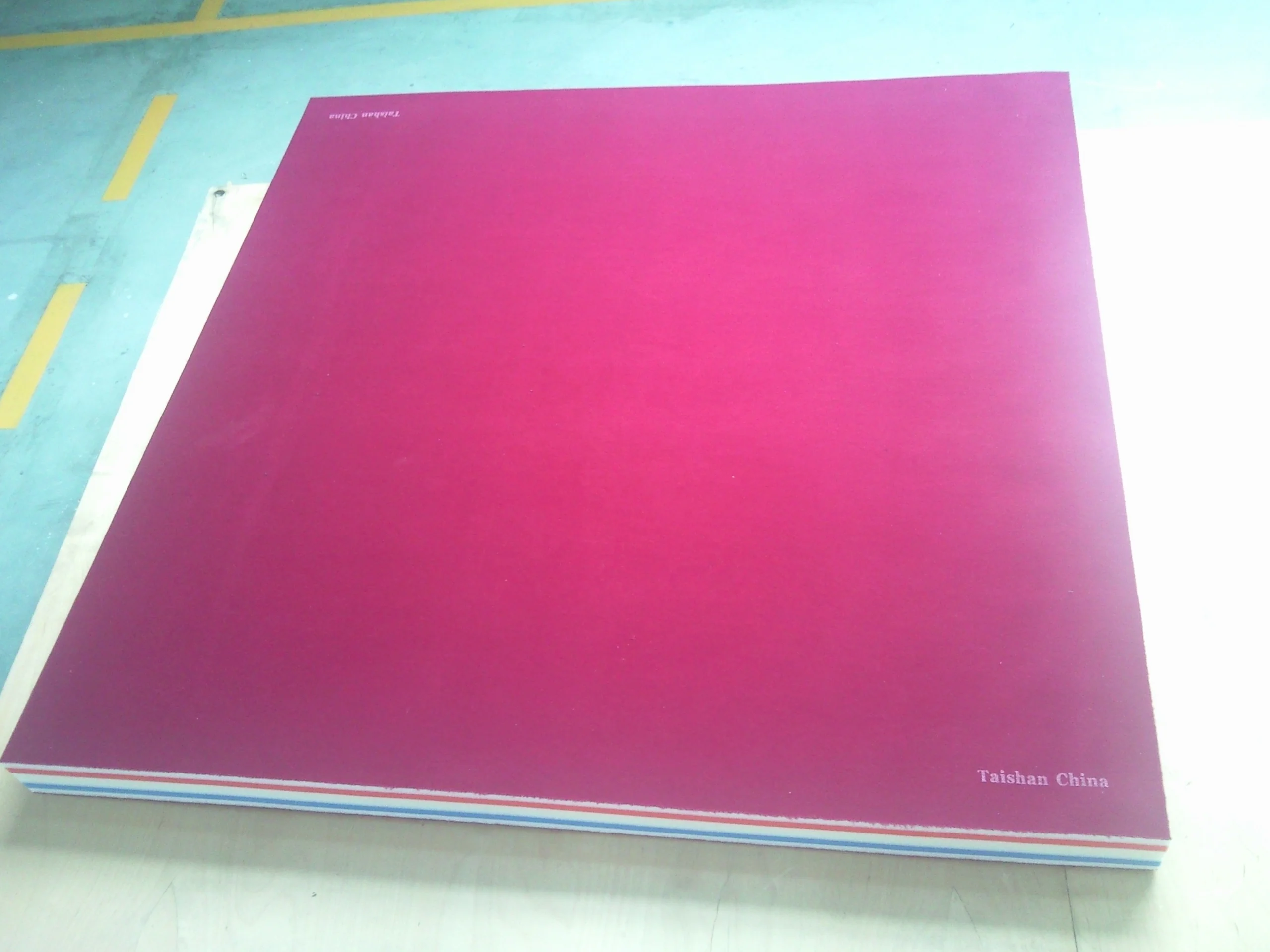 Professional Standard Quick delivery time wrestling mat for sale