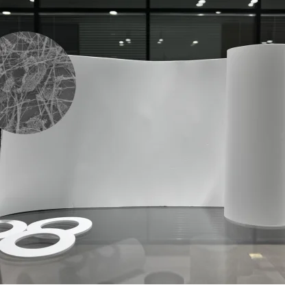 Manufacturer 1-6mm expanded ptfe sheet