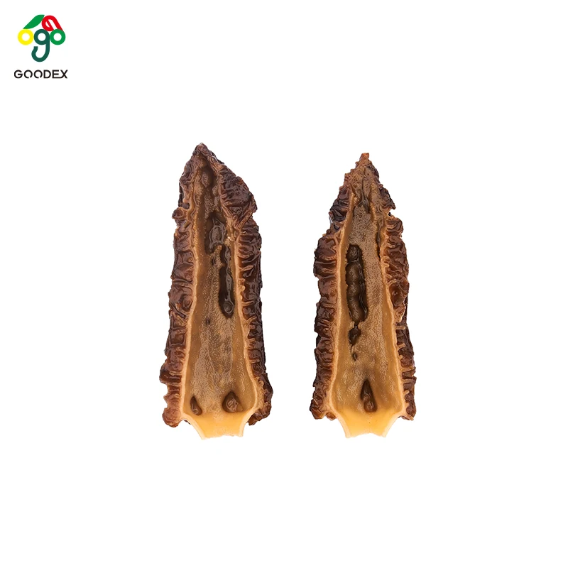 Cultivated Dried Morchella Conica , Morchella Mushroom