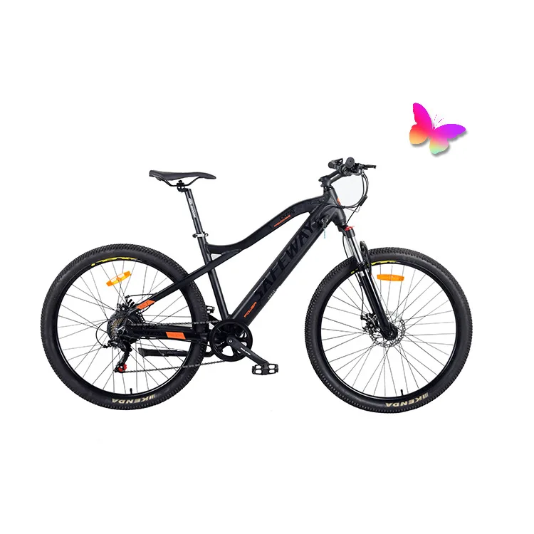 Safeway factory supply 48V 350W Electric Bicycle USB Charge phone holder 27.5'hidden battery electric mountain ebike