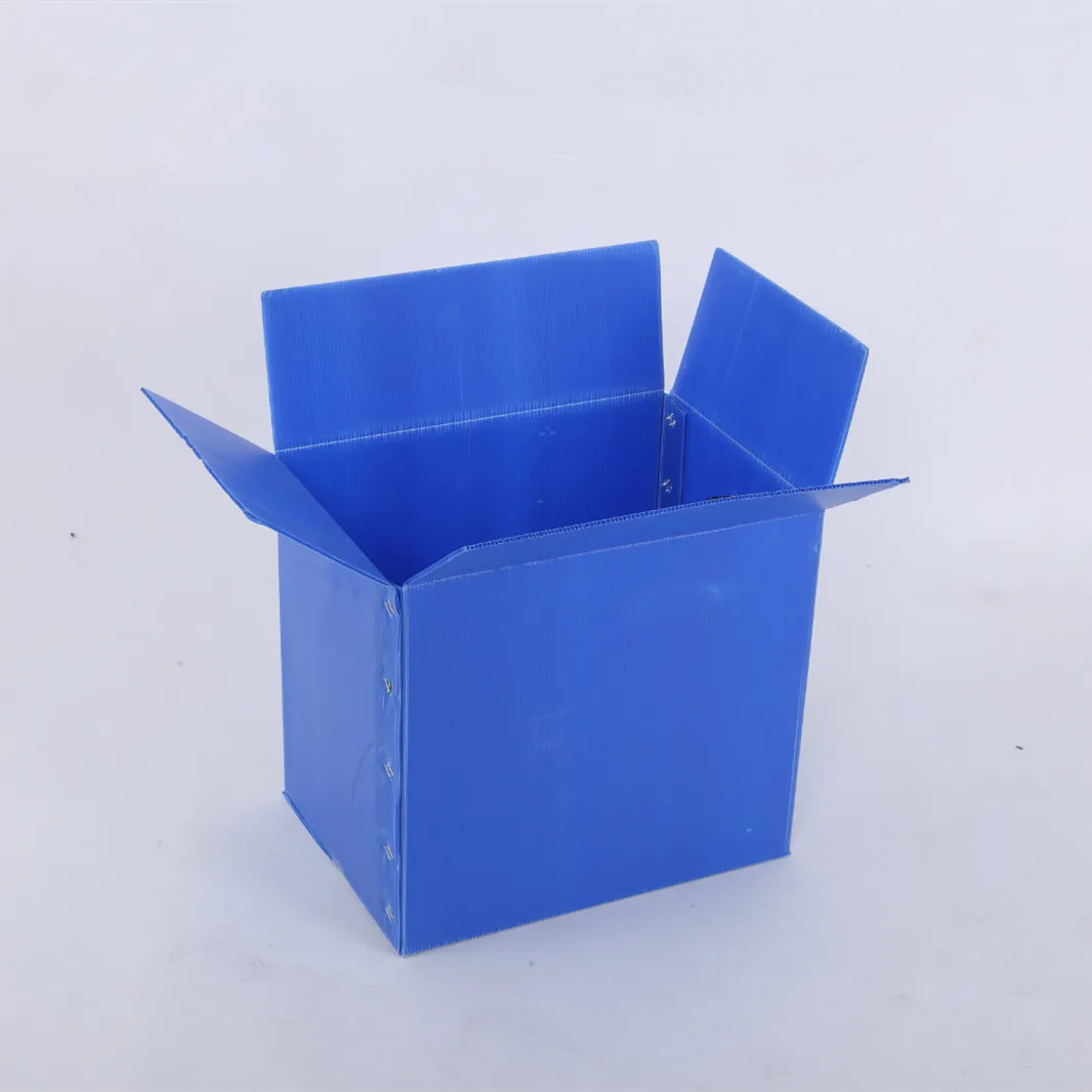supermarket pp corrugated box Vegetable and Fruit Moving Boxes Corrugated Plastic Carton