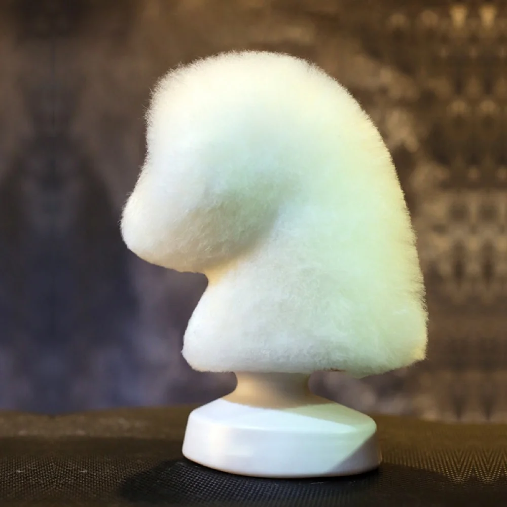 Mr. Jiang Pet Grooming Customized design Model Dog Bichon Head Skeleton Only No head wigs