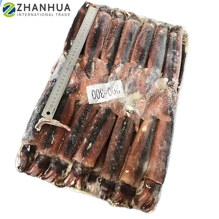 Аргентинский кальмар, цельный круглый замороженный необработанный кальмар