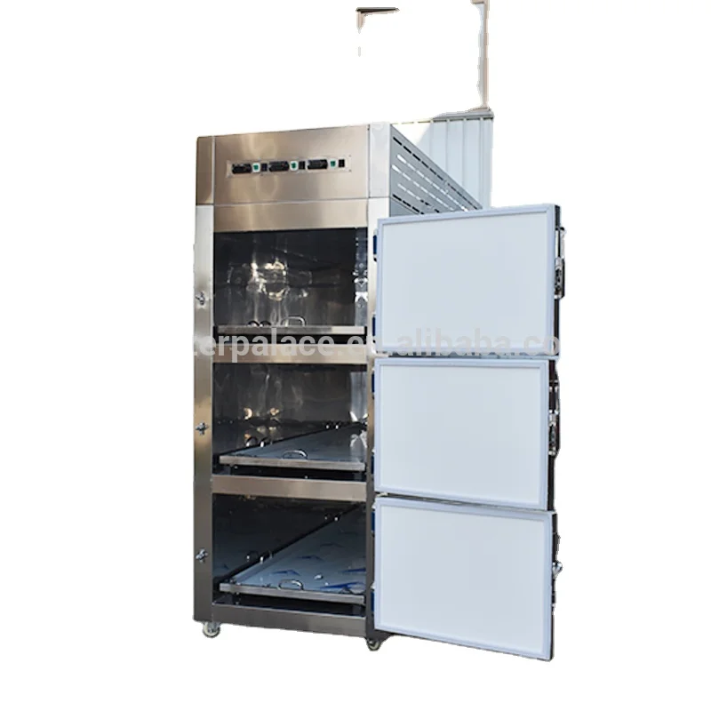 Sysmedical Morgue Room New Design Fast Delivery Cadaver Refrigerator 3 Bodies Mortuary De Almacenamiento Corporal