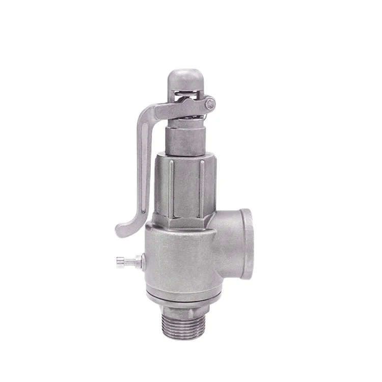 Covna Hot Sale Safety Relief Valves for lpg 1Inch Stainless Steel BSP Thread AC220V With Handle Safety valve