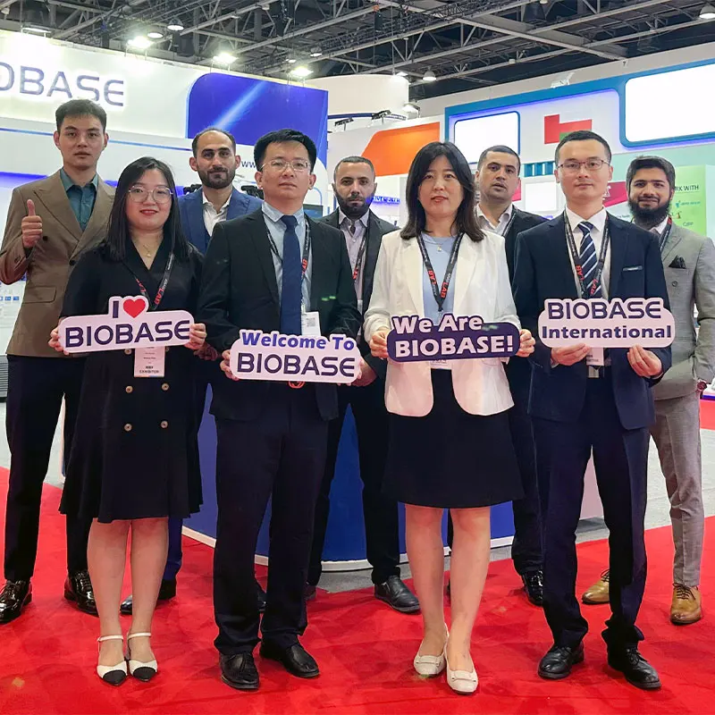 BIOBASE Muffle Furnace MX16-10T High Temperature Muffle Furnace 1000C Digital Muffle Furnace for Lab