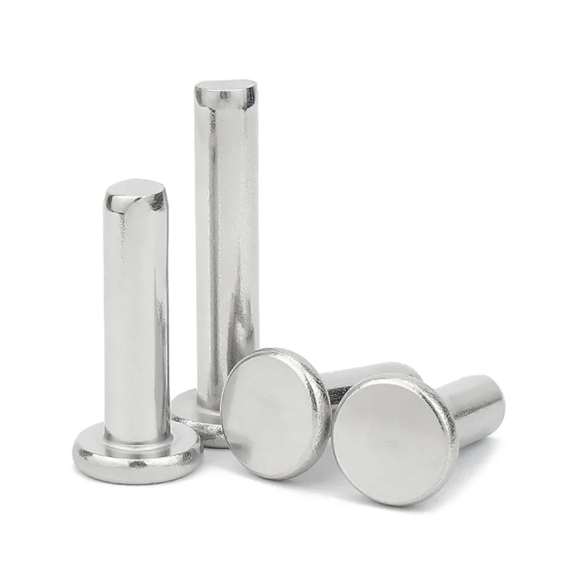 Din7338 Gr4.8/8.8/10.9/12.9 3-10mm Zinc Galvanized Hdgi Solid Rivet Flat Head Round Hollow Rivet