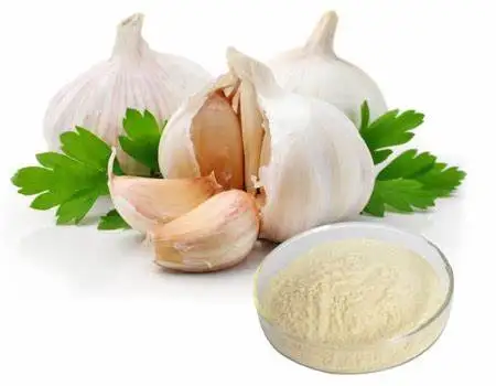 Manufacturers Supply Food Grade 10% Allcin Garlic Extract Garlic Powder Dehydrated