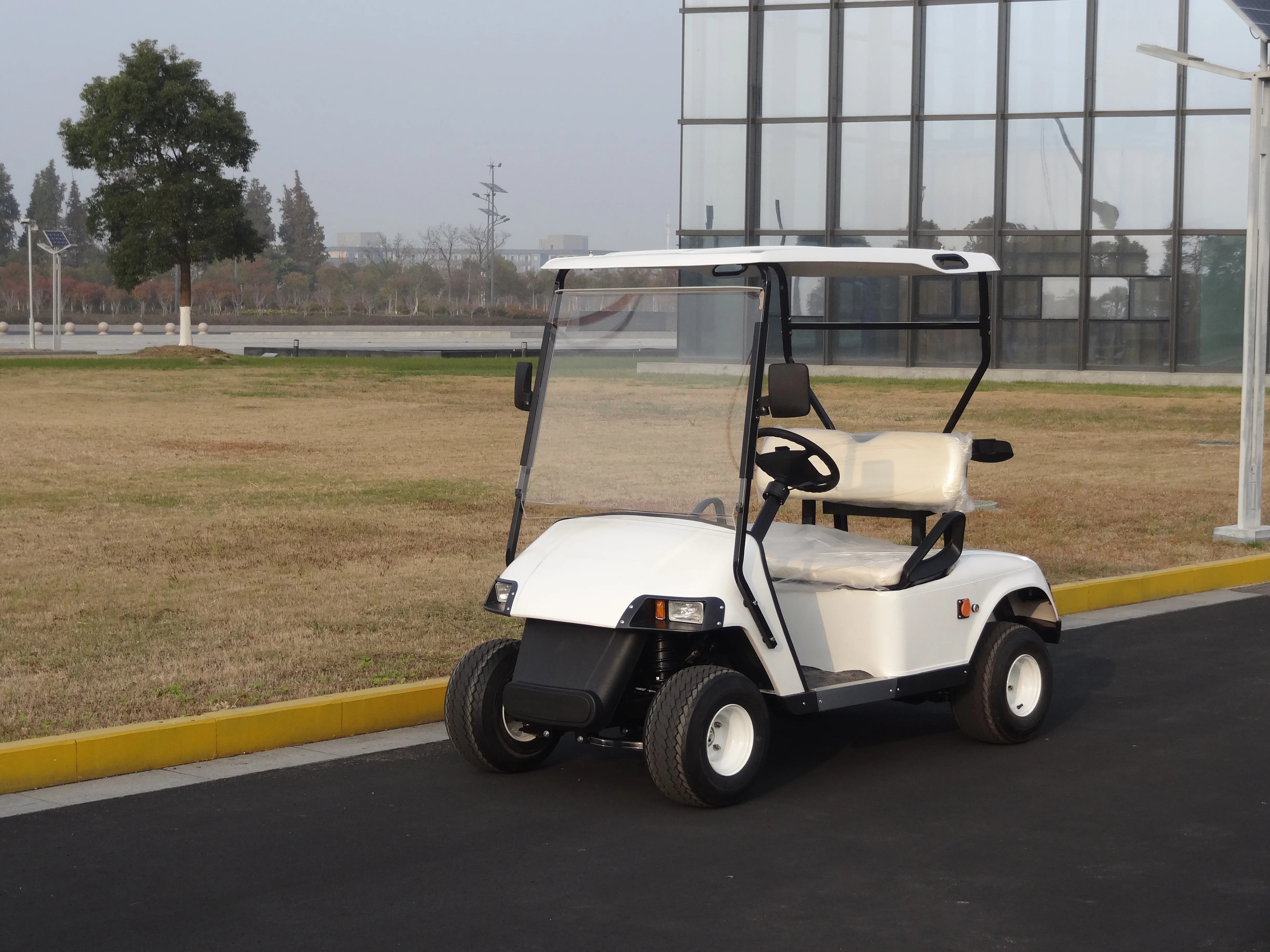 CE approved off road 2 passenger electric golf buggy