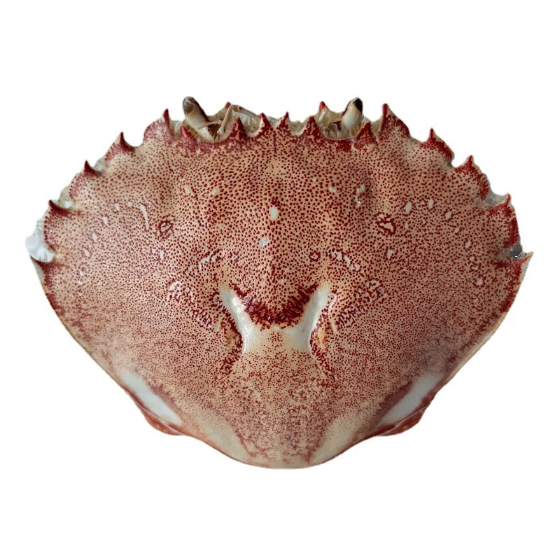 Hot selling dried crab shells, high quality natural crab shells, various styles and varieties, for art or animal feed