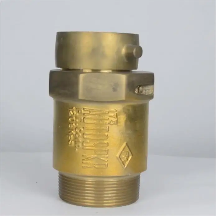 Factory High quality  polished chrome fire hydrant hose thread cast brass Spring check snoot