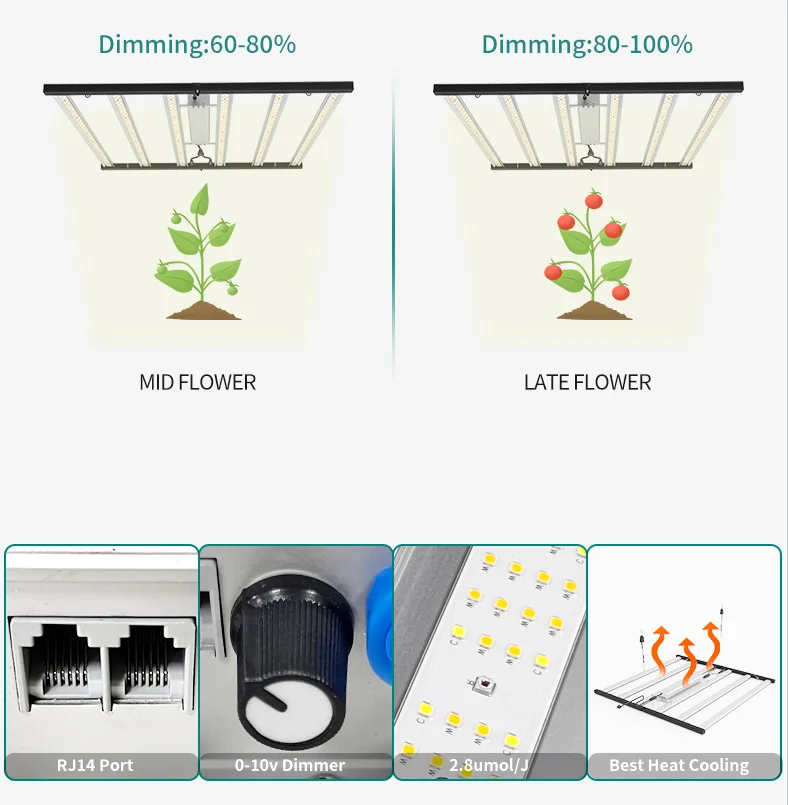 Full Spectrum Light 660nm Plant Light 800w 1000w 1200w LED Plant Grow Lamp For Indoor Vertical Farming