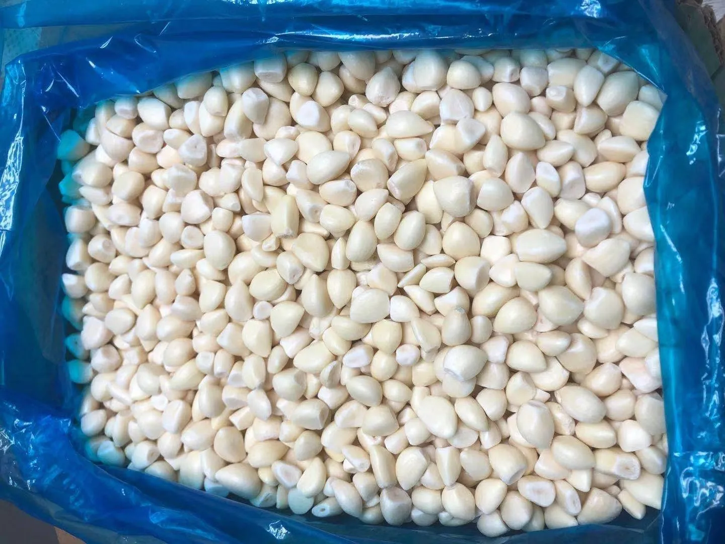 High quality with good price IQF fresh frozen garlic dices crush cloves  frozen herbs garli peeled