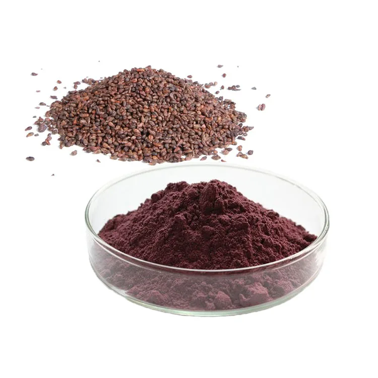 Natural Supplement Seed Procyanidine 95% 10:1 Grapeseed Grape Seed Extract Powder OPC