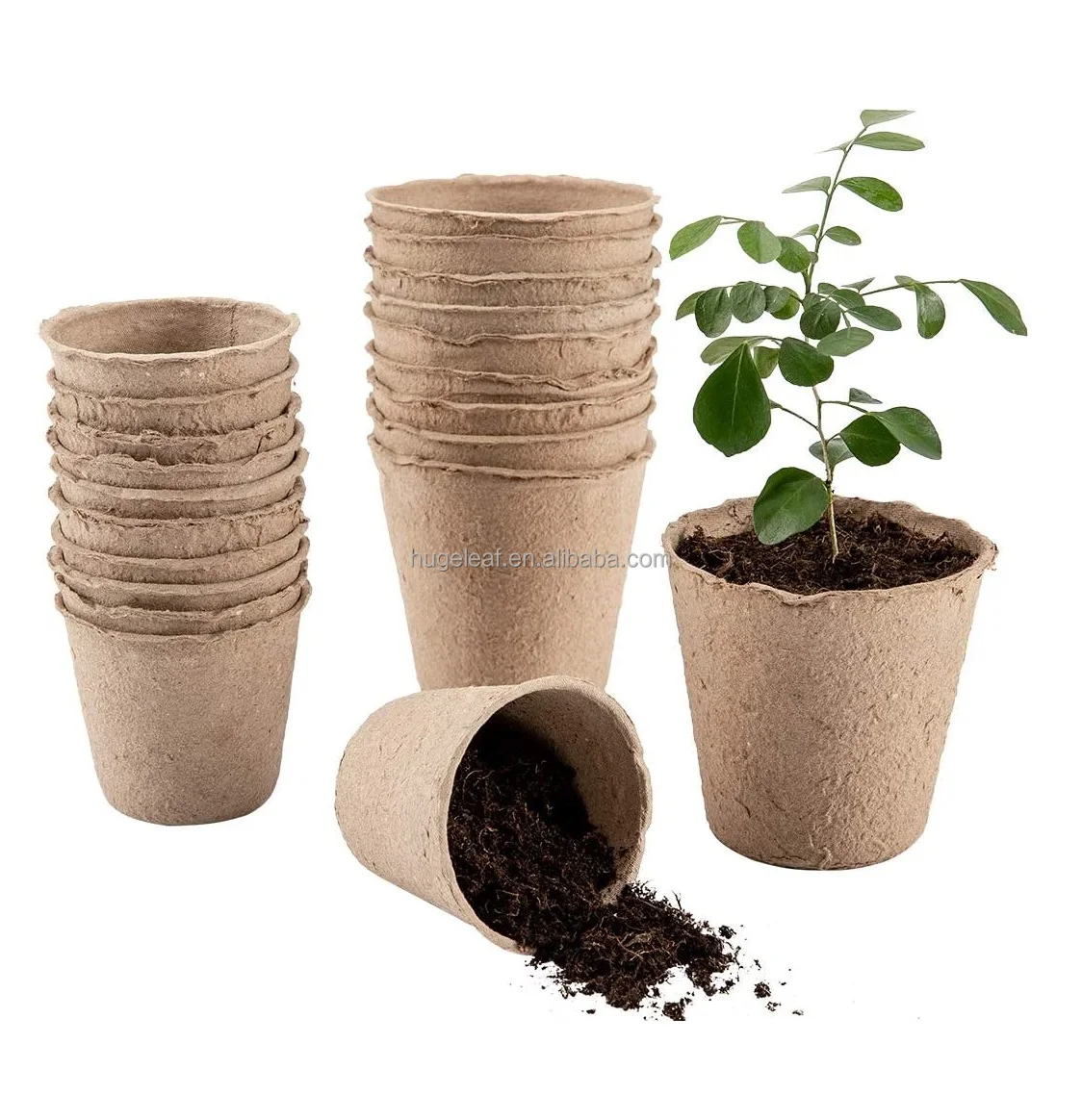 Eco-Friendly Biodegradable Saplings & Herb Plant Seed Nursery Pot Plant Starter Peat Pots for Seedings