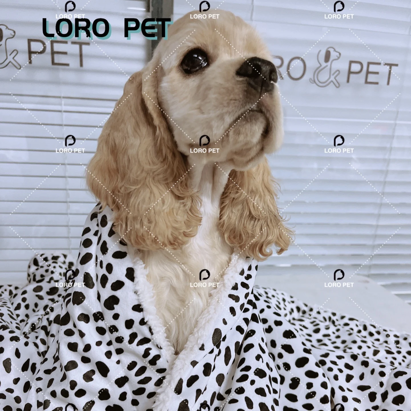 Hot Selling Washable Comfortable Soft Blanket Dogs Pet Bed Accessories printed pattern blanket custom design