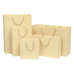 Пользовательские Cmyk печать сумки для Покупок Подарок и одежда упаковка бумажный пакет с ручками