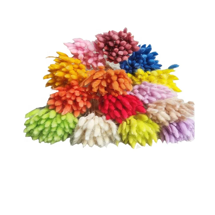 Material Dried Flowers Rabbit Tail Grass Bouquets Opp Bag Christmas Decorative Flowers & Wreaths Long Lasting 50 Sticks / Bunch