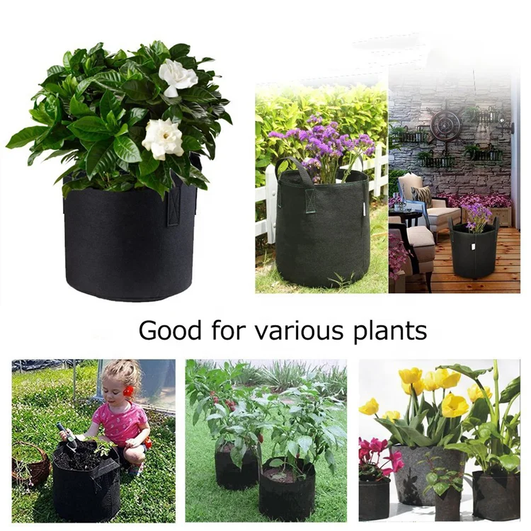 New arrivals handmade biodegradable vegetable blueberry felt grow bags grow mushroom container