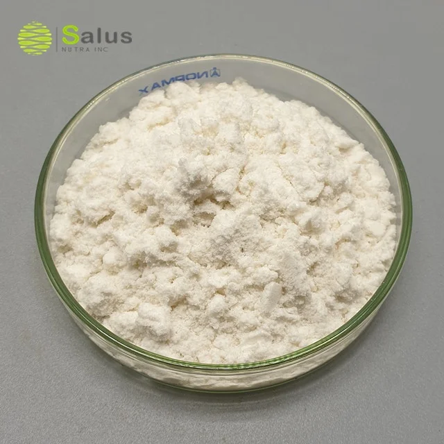 Top Quality Invertase Enzyme