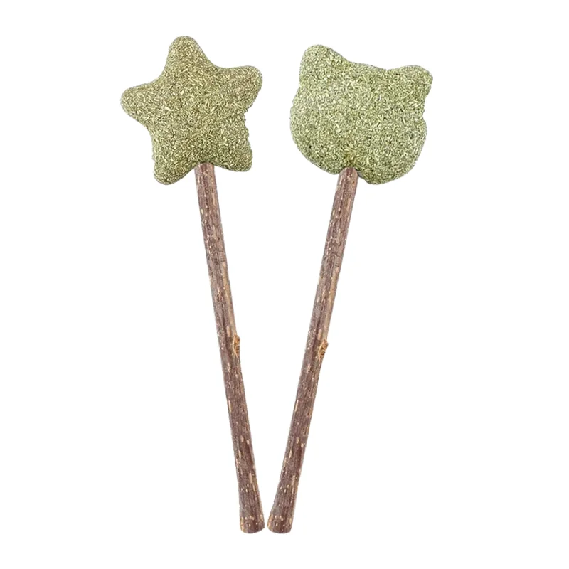 Personalized Cat Ball Toy Kitten Treats Cat Candy Cat Snack Catnip Lollipop