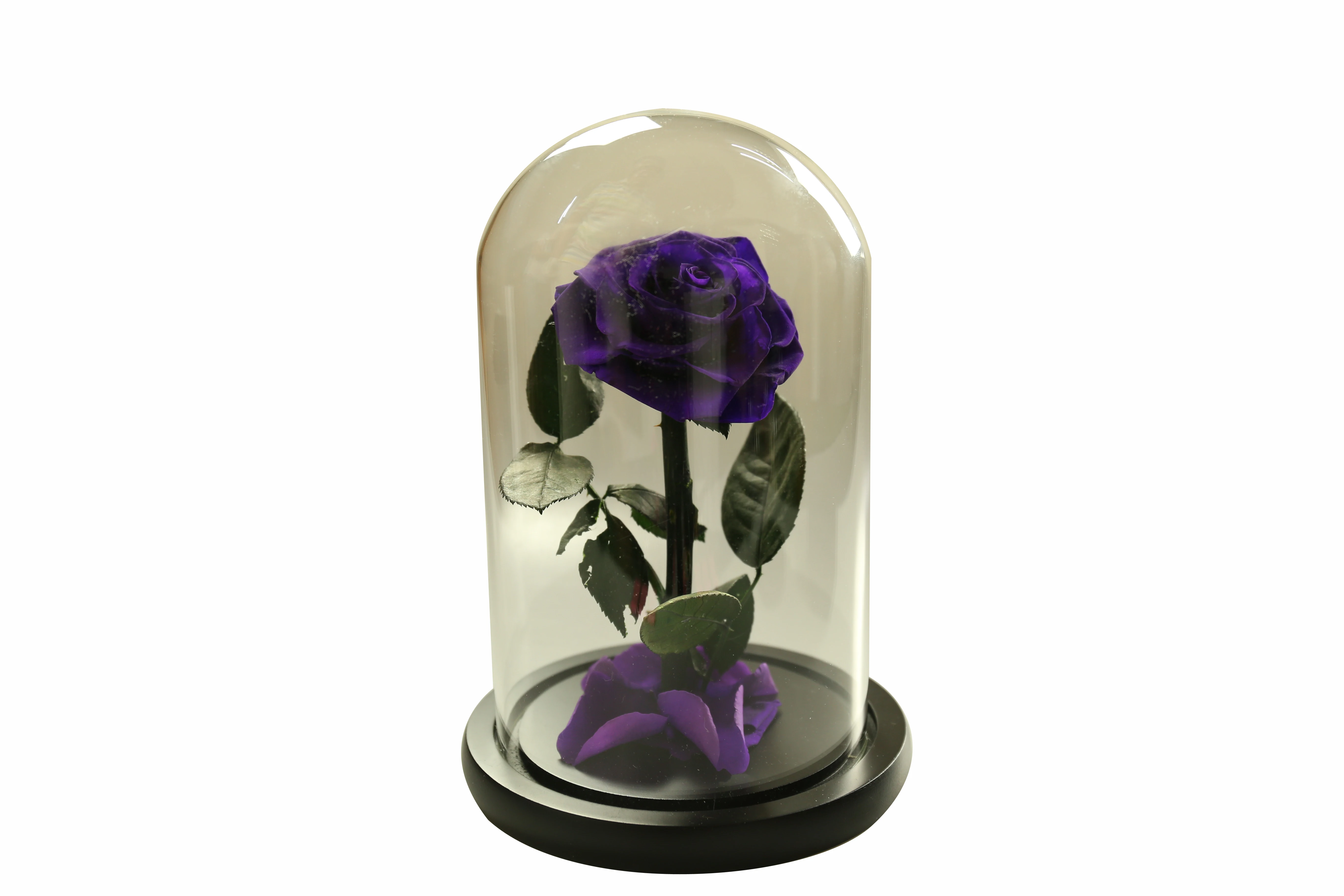 Drop shipping Stabilized Preserved Flower Bouquet Gift Box Christmas Gift Rose Flower sunflower best ideas Gift flower orchid