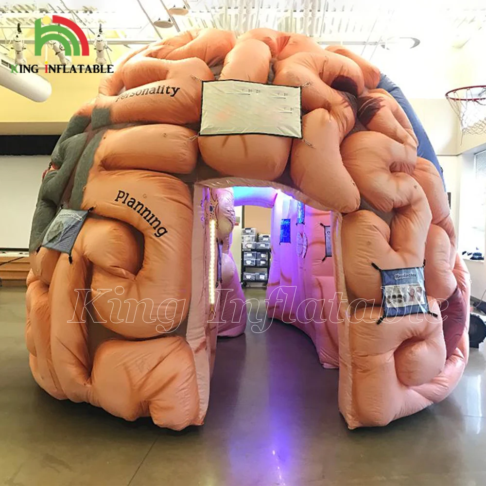 Medical Inflatables Brain Exhibit Human Organs Educational Models