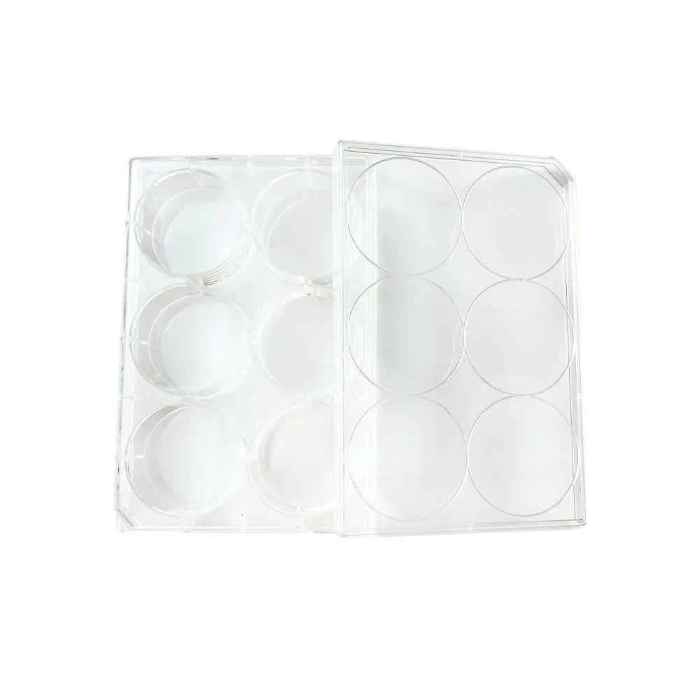 Стерильная 6 ячеек для культивирования клеток обработка лабораторной суспензионной клеточной