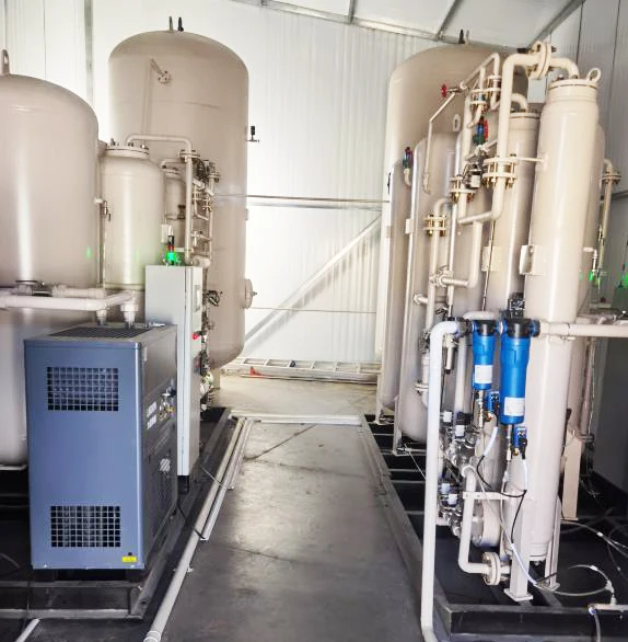 High Purity Oxygen Generator Energy Saving Oxygen Generator Plant for Aquaculture